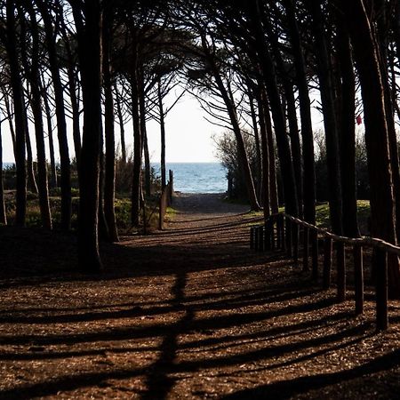 Appartamento Il Bucaniere A Marina Di Cecina Exterior foto