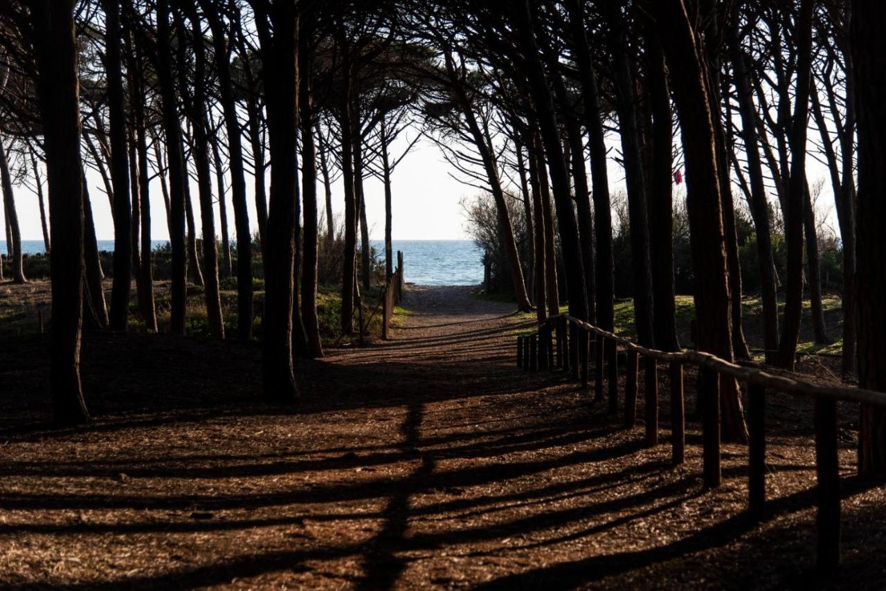 Appartamento Il Bucaniere A Marina Di Cecina Exterior foto