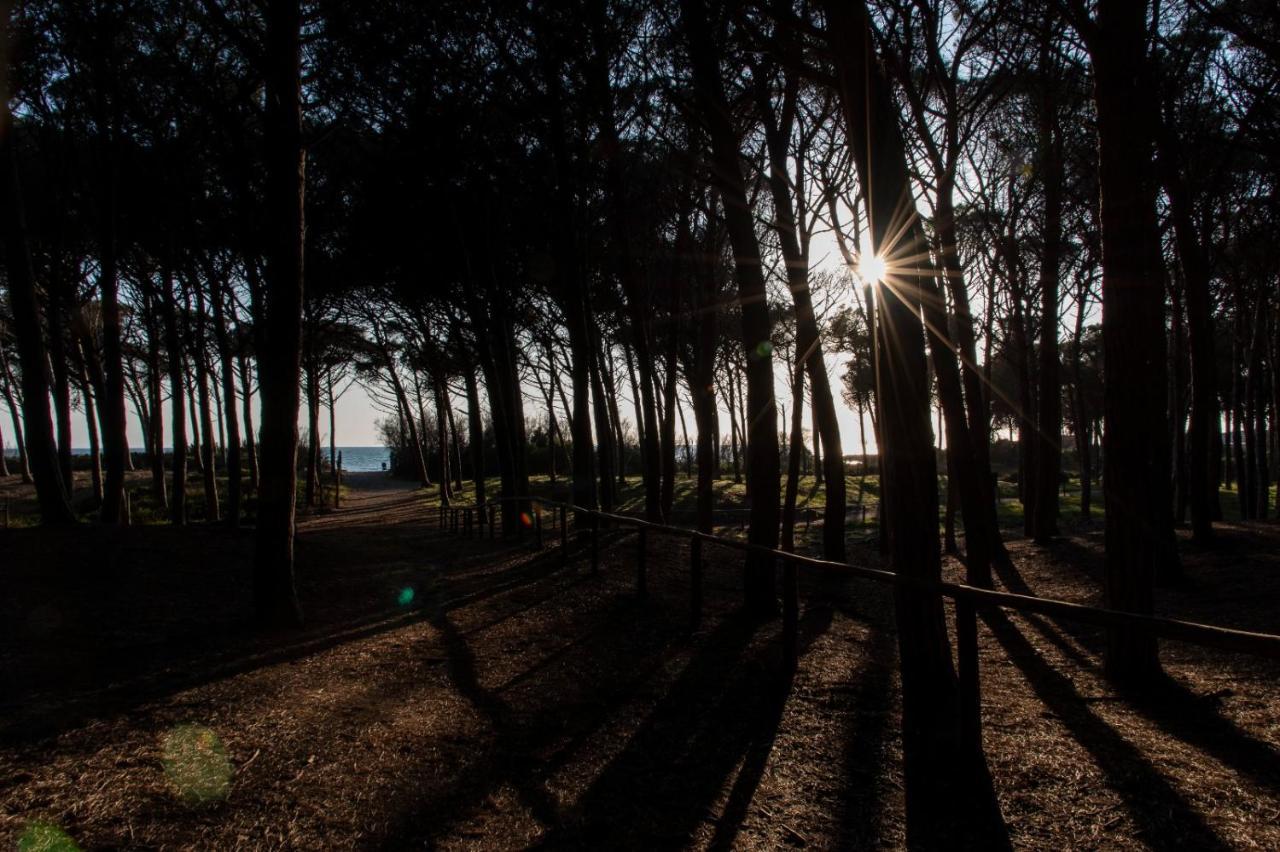 Appartamento Il Bucaniere A Marina Di Cecina Exterior foto